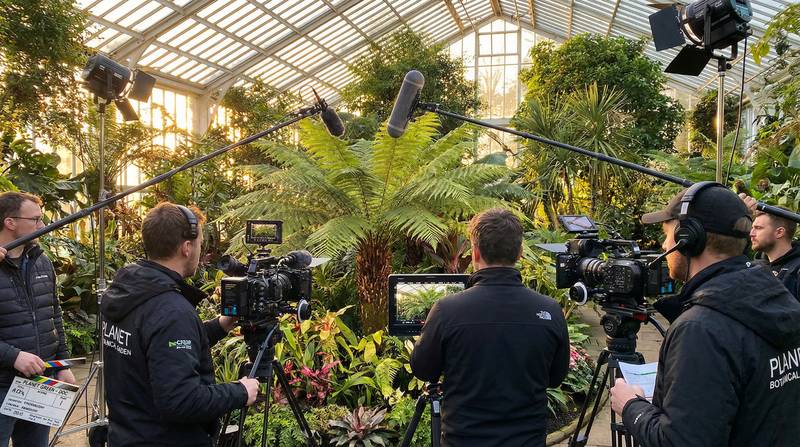 蜜桃传媒植物视频-幕后花絮视频教程